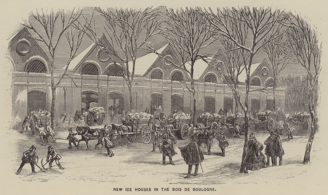 Nowe lodownie w Bois de Boulogne (rycina) autorstwa English School