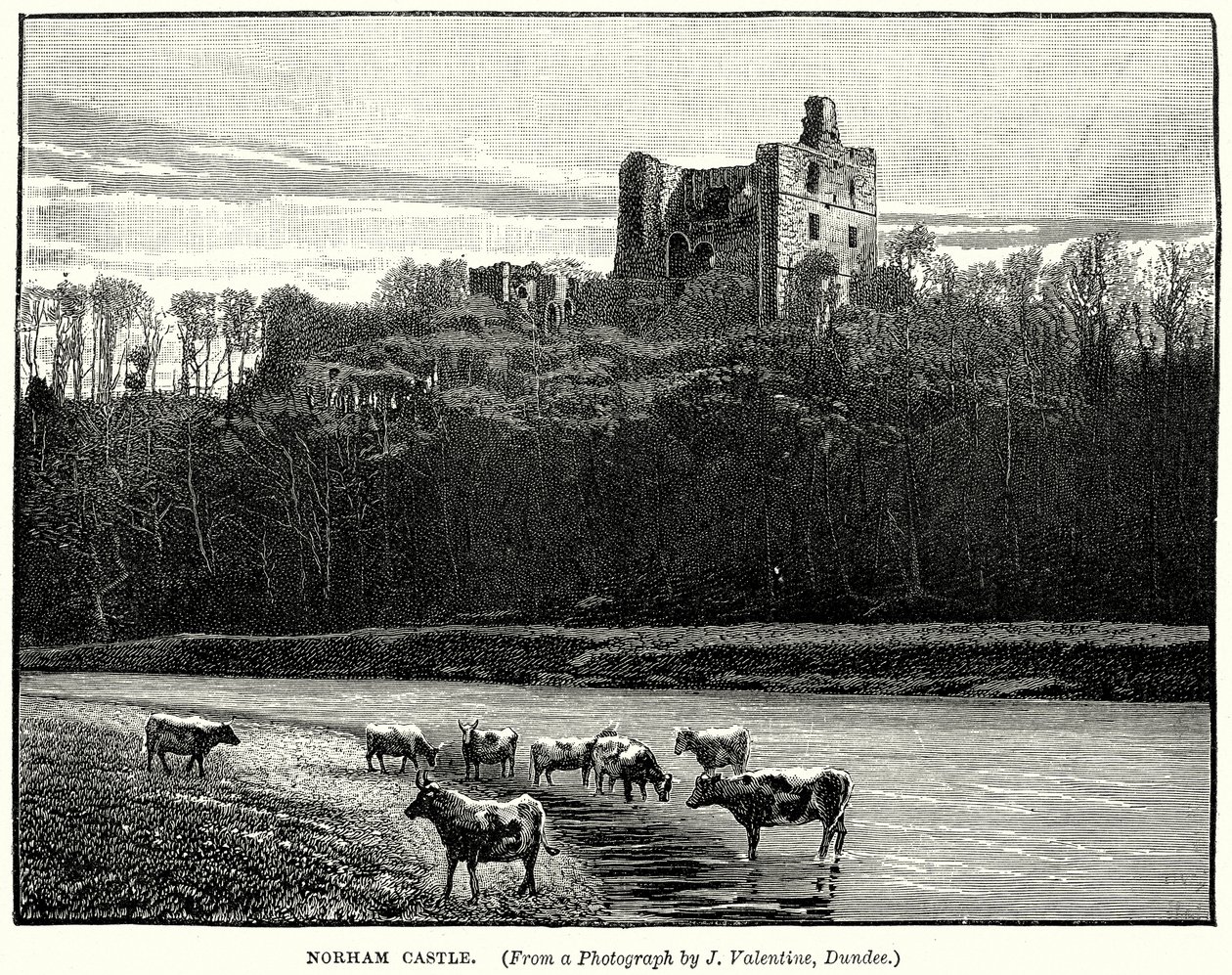 Zamek Norham (grawerunek) autorstwa English School