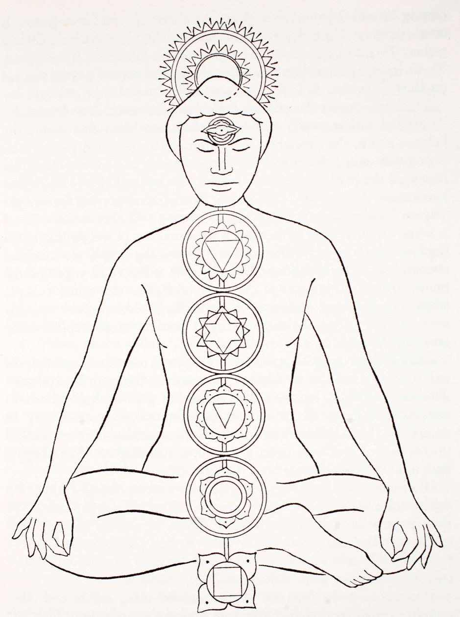 Padmasana lub pozycja lotosu autorstwa English School