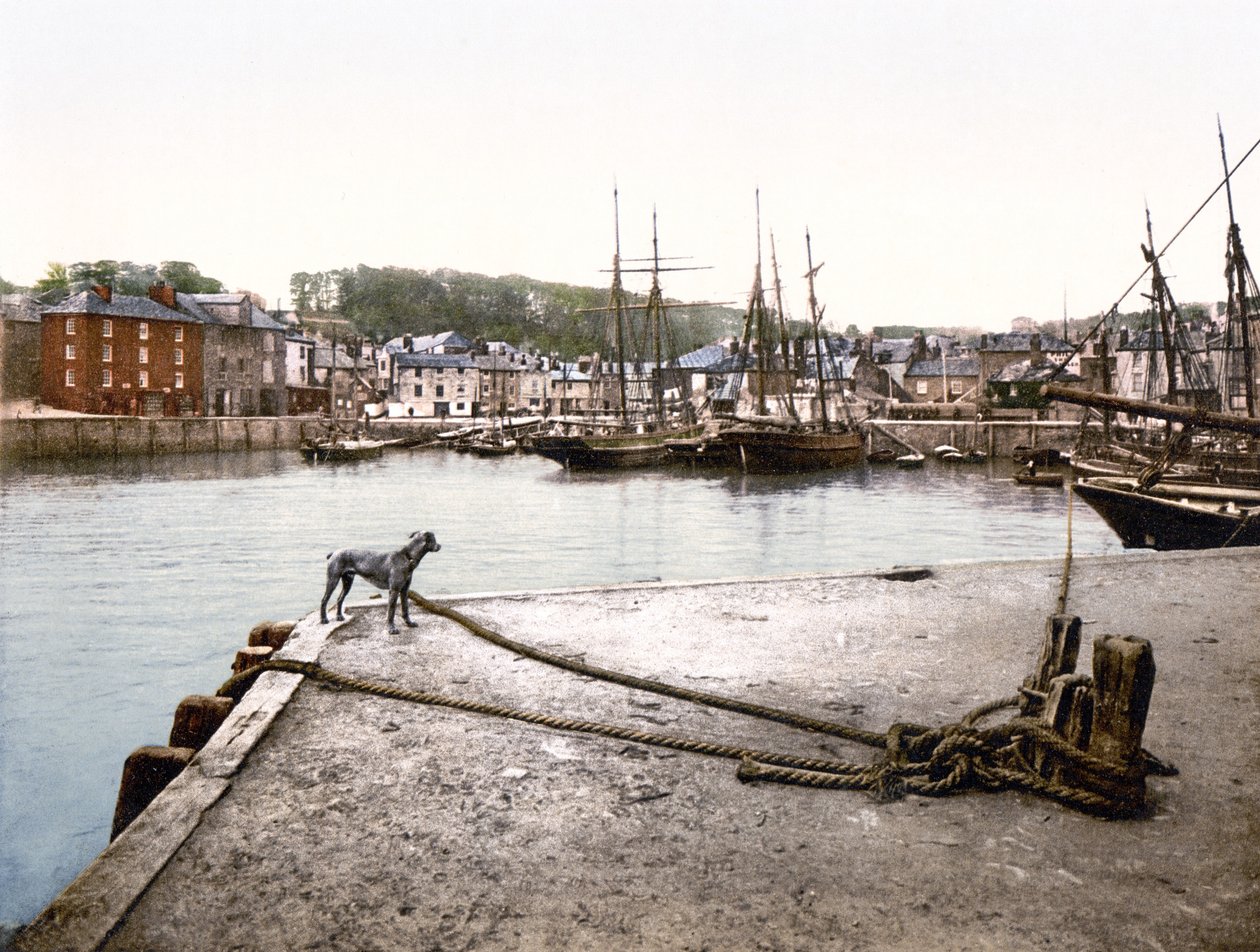 Padstow Quay (zdjęcie ręcznie kolorowane) autorstwa English School