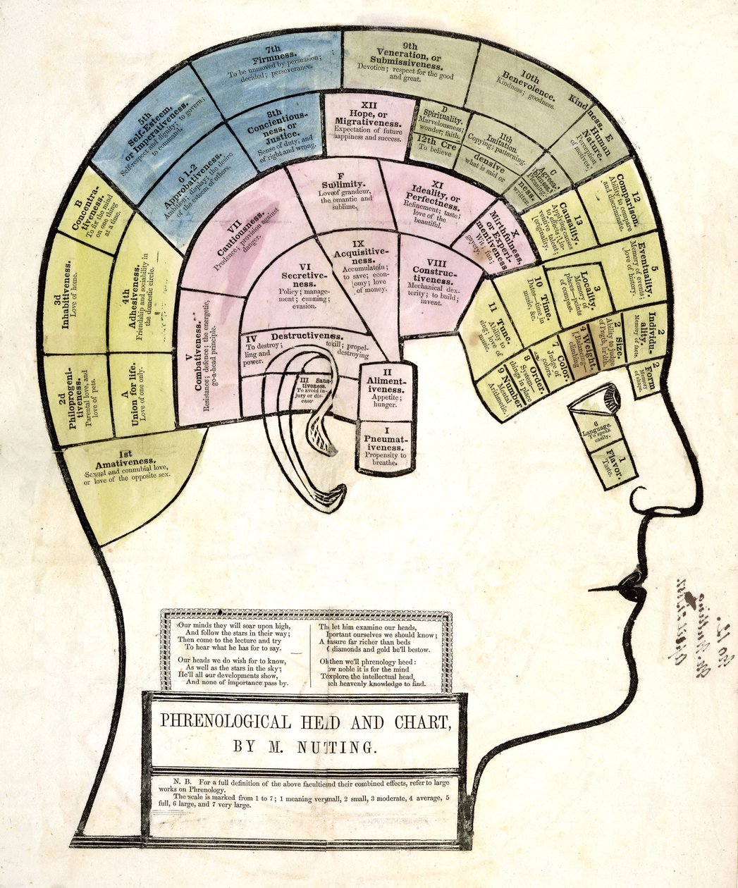 Frenologic Head and Chart, wyd. 1857 (kolor lito) autorstwa English School