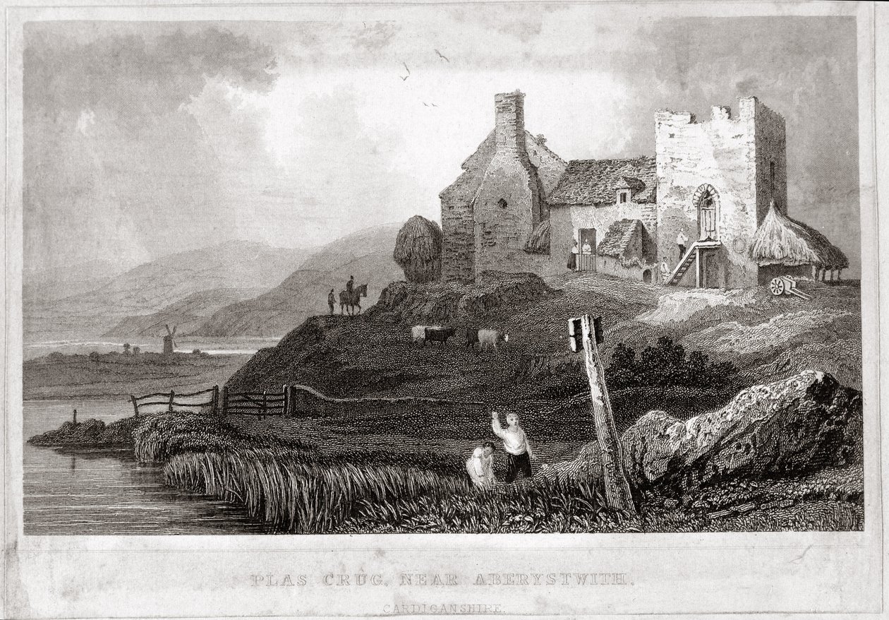 Plas Crug, niedaleko Aberystwyth, Cardiganshire (akwaforta) autorstwa English School