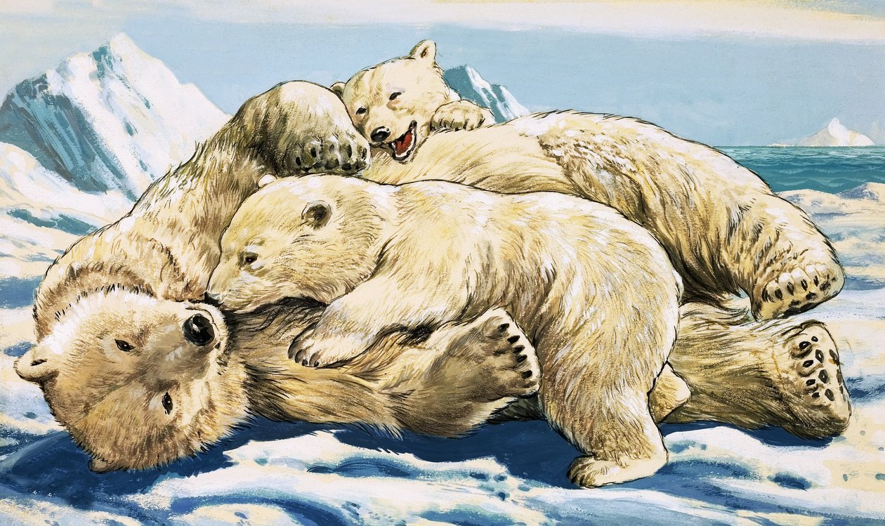 Niedźwiedź polarny i młode (gwasz na papierze) autorstwa English School