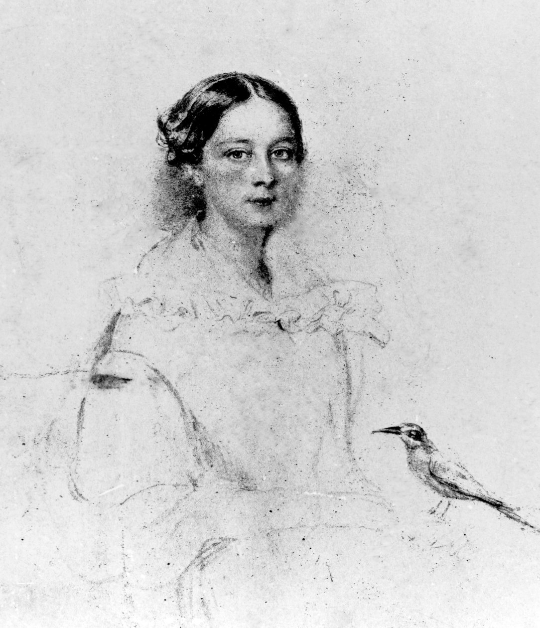 Portret Emily Shore (1819-1839), XIX wiek (rysunek) autorstwa English School