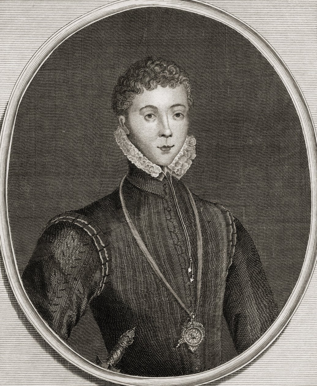 Portret Henry
