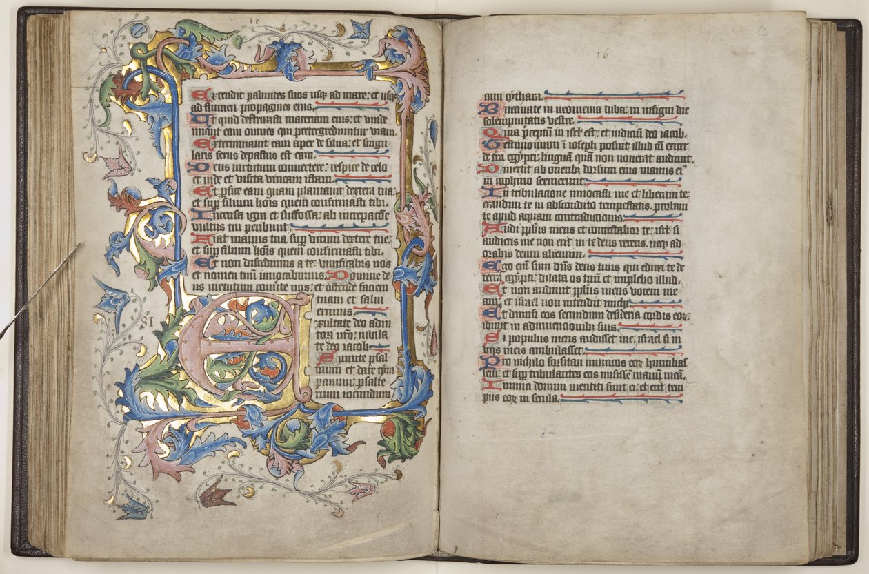Psałterz z kalendarzem Sarum, ok. 1425-75 (atrament, farba i złoto na welinie) autorstwa English School