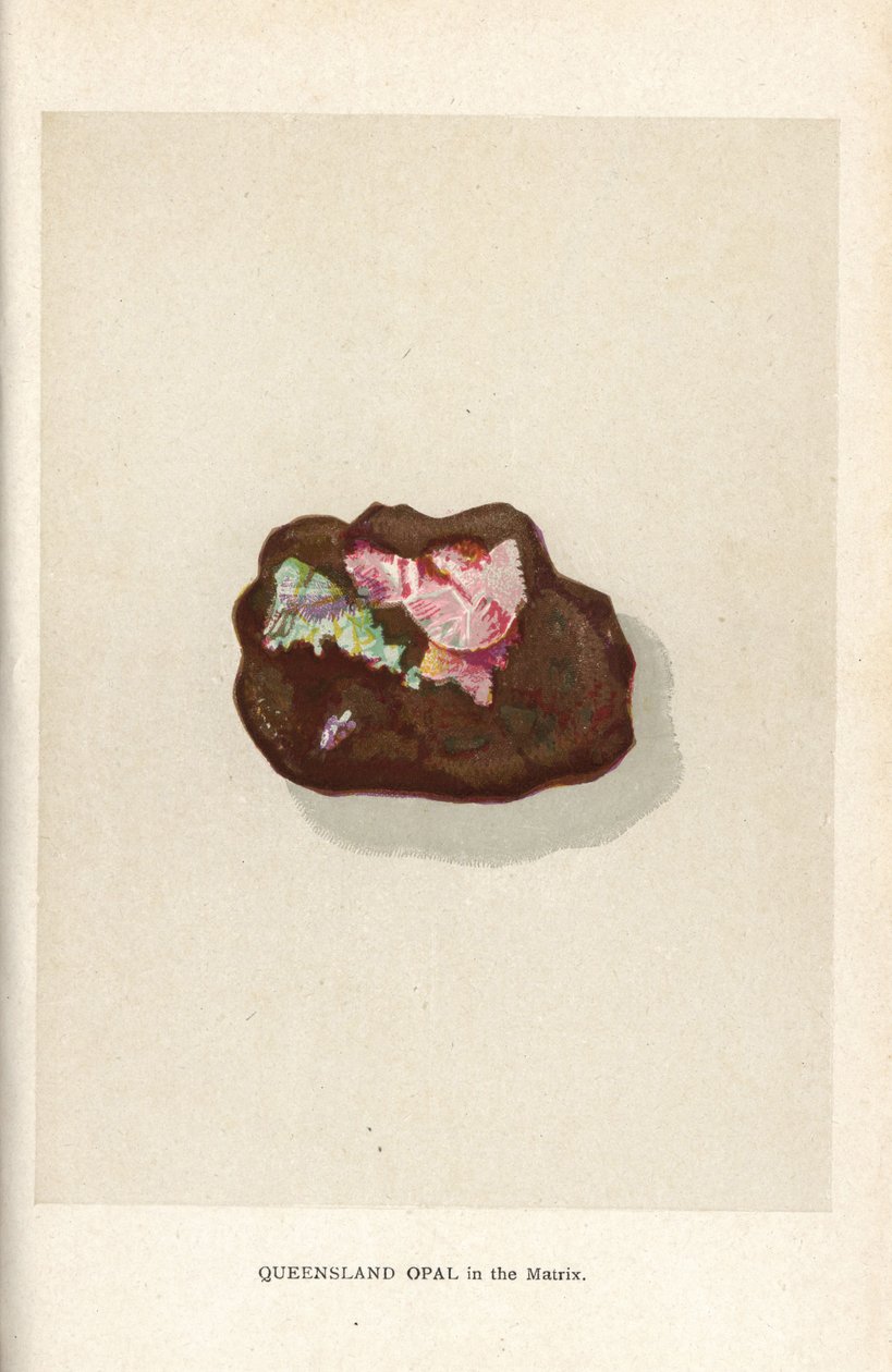 Opal Queensland w matrycy, z „Precious Stones and Gems” Edwina Streetera, Londyn, George Bell & Sons autorstwa English School