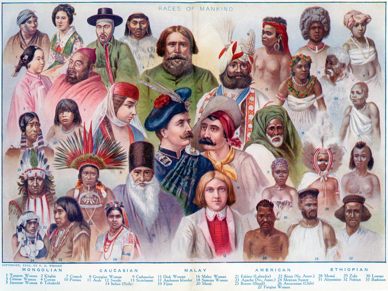 Races of Mankind, z The British Empire Universities Modern English Illustrated Dictionary, wyd. 1914 autorstwa English School