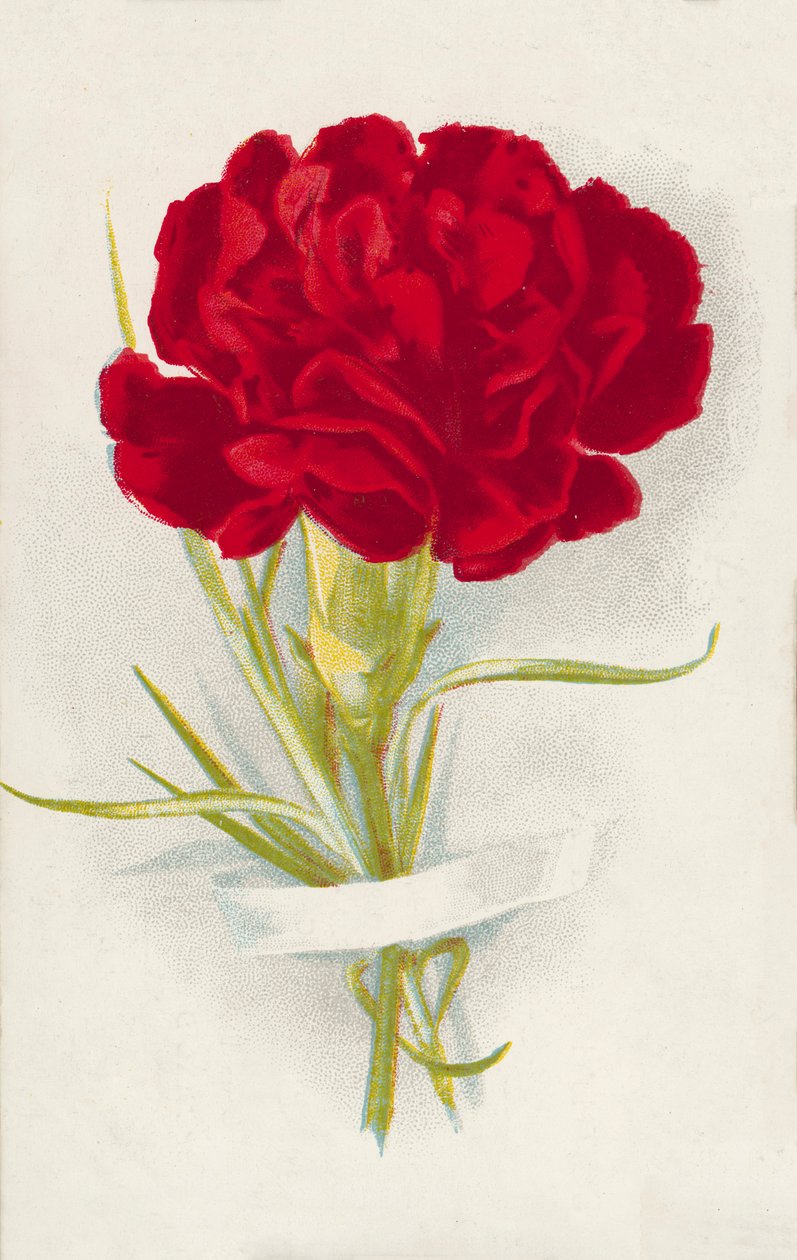 Czerwony goździk (chromolitho) autorstwa English School