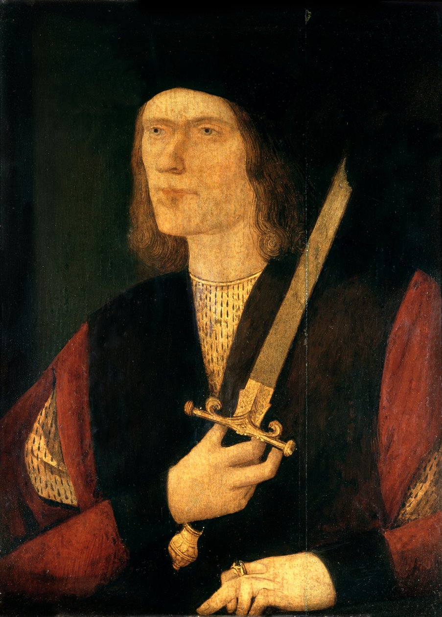 Ryszard III (1452-85) (olej na panelu) autorstwa English School