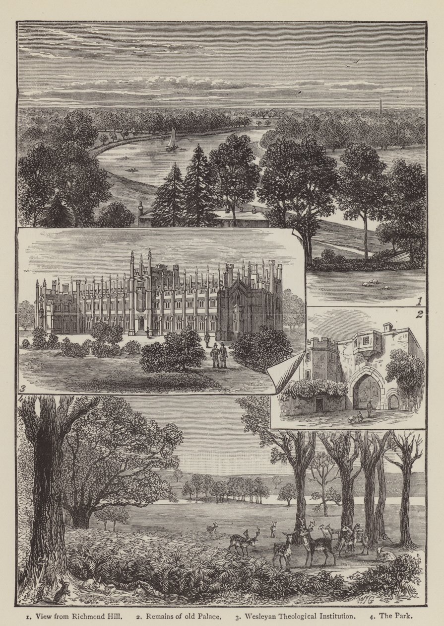 Richmond (grawerunek) autorstwa English School
