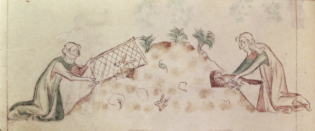 Roy 2 B VII f.155v Kobiety łapiące królika siatką i fretką, z „Królowej Marii Psałterz”, c.1310-20 (welum) autorstwa English School