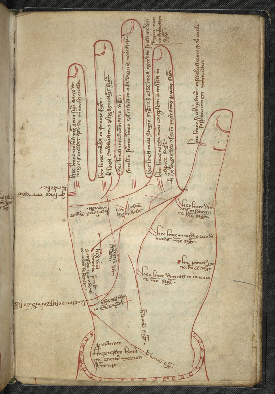 Royal MS 12 C XII f.107r Czytanie z rąk, w średniowiecznej miscelanii (tusz na welinie) autorstwa English School