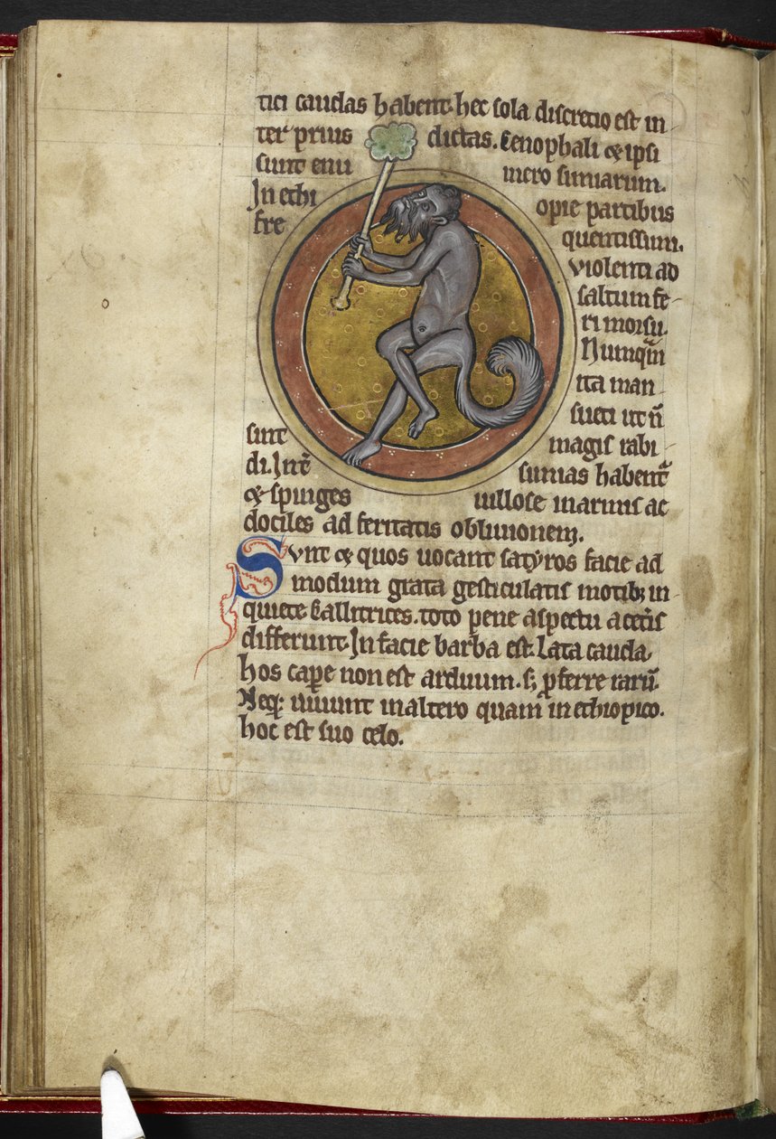 Royal MS 12 C XIX, f.15v Satyr, z „Bestiariusza”, c.1200-10 (tusz, kolor i złoto na welinie) autorstwa English School