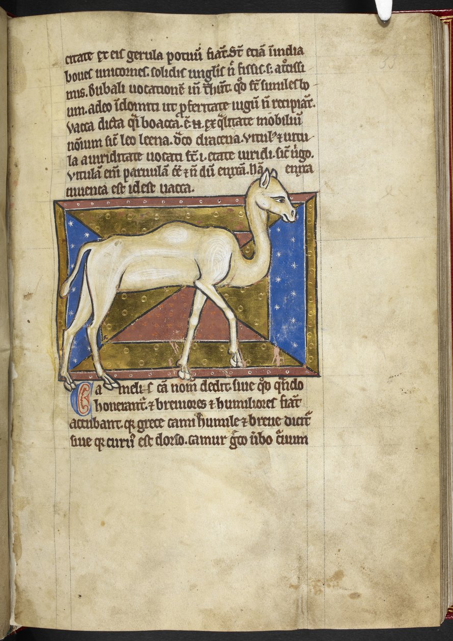 Royal MS 12 C XIX, f.33r Camel, z 