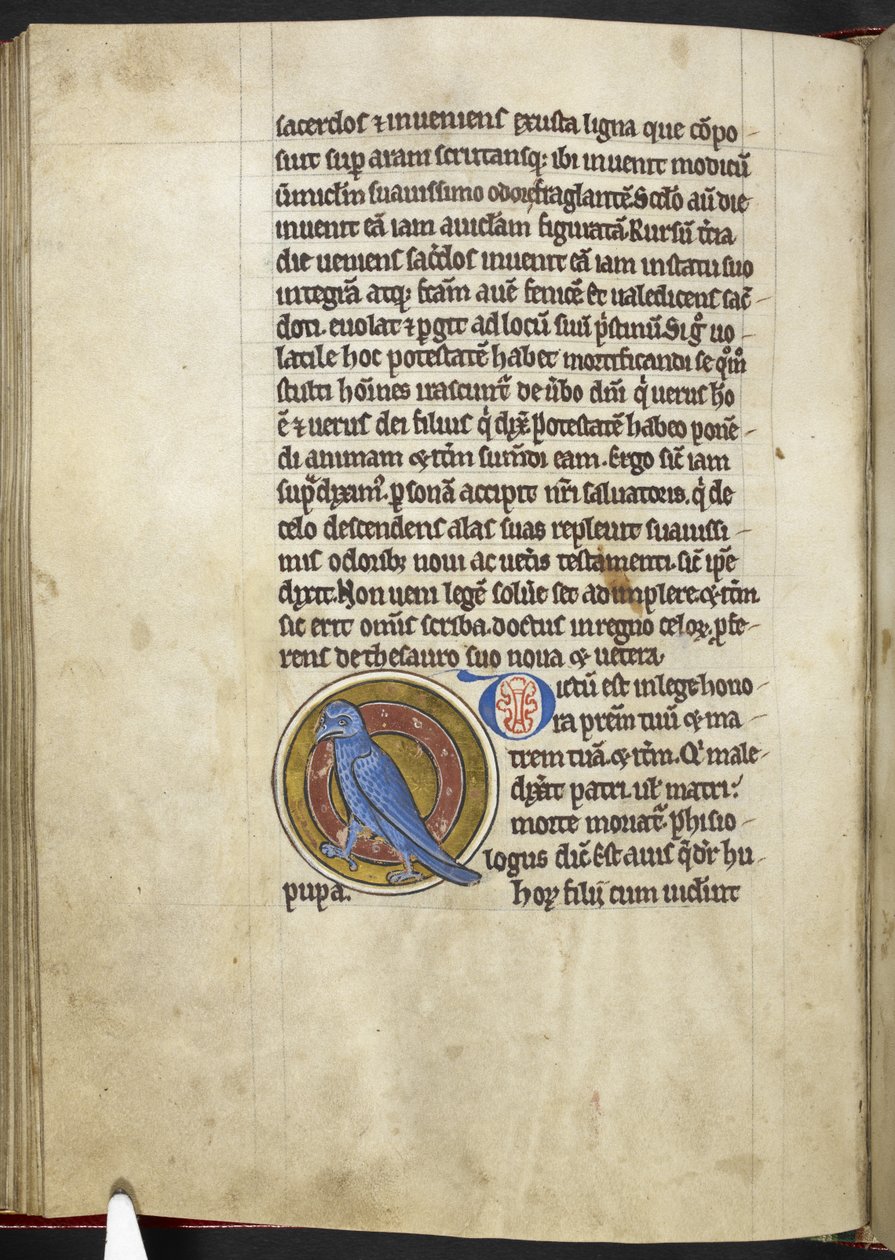 Royal MS 12 C XIX f.50v, Dudek, z „Bestiariusza”, c.1200-10 (tusz, kolor i złoto na welinie) autorstwa English School