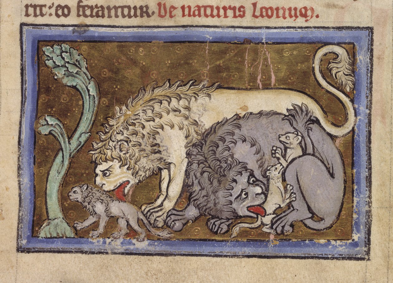 Royal MS 12 C XIX, f.6r Lions, z 
