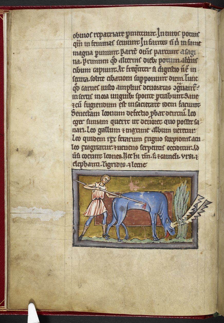 Royal MS 12 C XIX, f.7v Antelope, z 