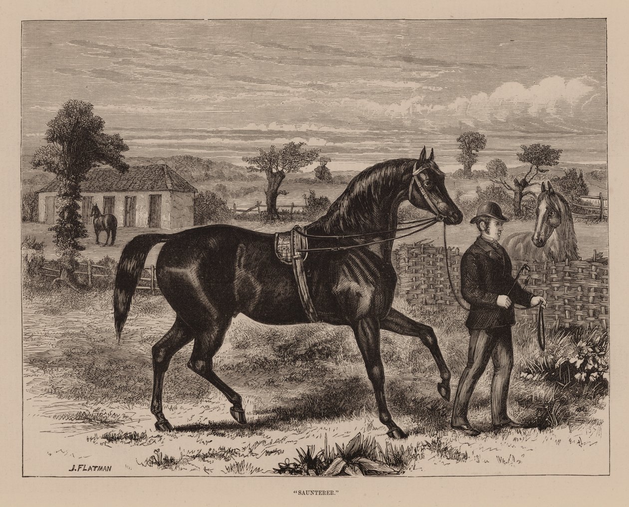"Saunterer" (grawerunek) autorstwa English School