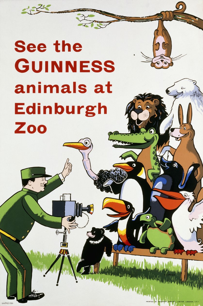 Zobacz zwierzęta Guinnessa w zoo w Edynburgu, ok. 1938 (litografia w kolorach) autorstwa English School