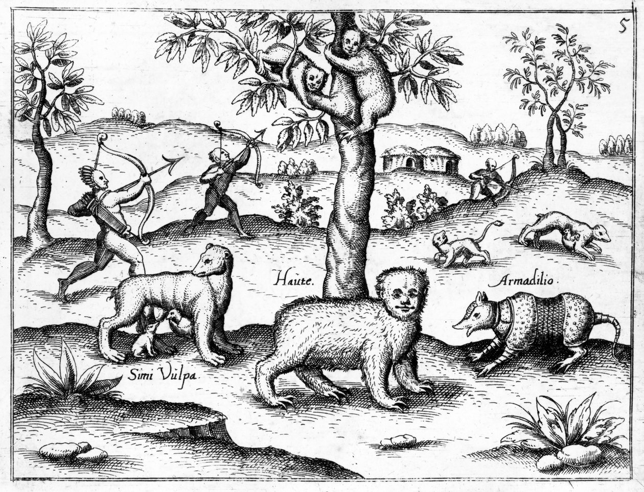 Simi Vulpa, Haute and Armadilio, ilustracja z „Odkrycia Gujany” Sir Waltera Raleigha, opublikowana ok. 1599 autorstwa English School