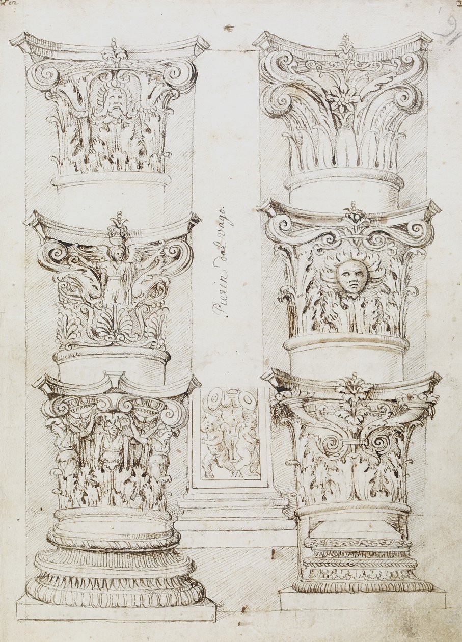 Sześć kapitalików, podstawa Lesene i dwie kolumny, Folio 1, The Master of the Oxford Album, c.1512-17 (pióro i ciemnobrązowy atrament) autorstwa English School