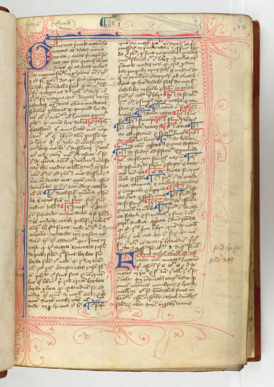 Sloane 280, f.9r Przedmowa „Rosa Angelica”, John Gaddesden autorstwa English School