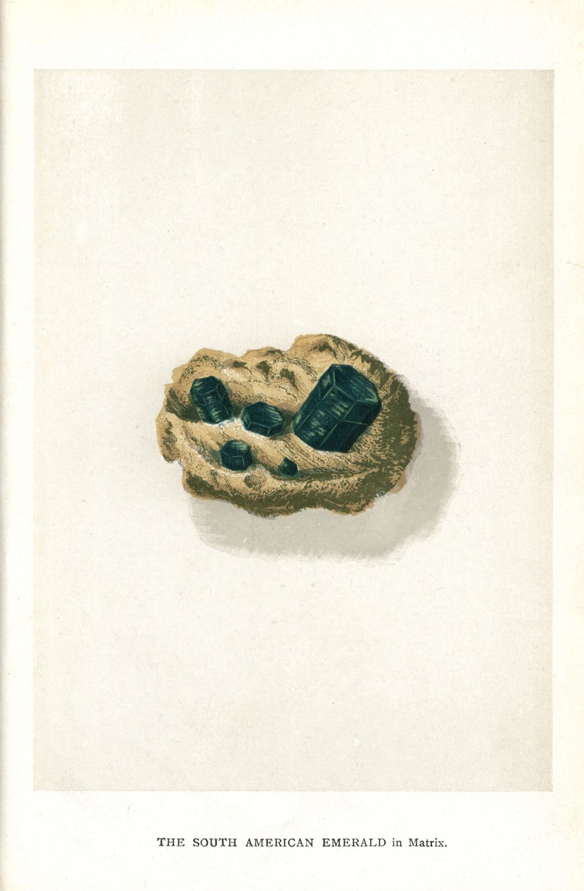 Południowoamerykański szmaragd w matrycy, z „Precious Stones and Gems” Edwina Streetera, Londyn, George Bell & Sons autorstwa English School