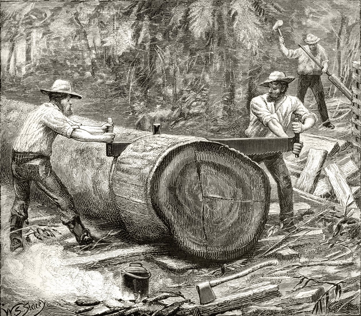 Splitters in the Bush, ok. 1880, z „Australian Pictures” Howarda Willoughby’ego, wydanej przez religijne Towarzystwo Traktu, Londyn, 1886 autorstwa English School