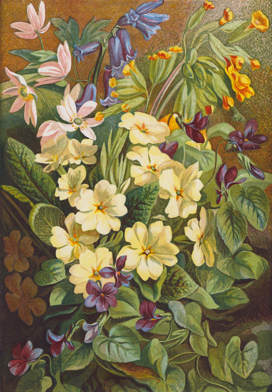 Wiosenne kwiaty (kolorowa litografia) autorstwa English School