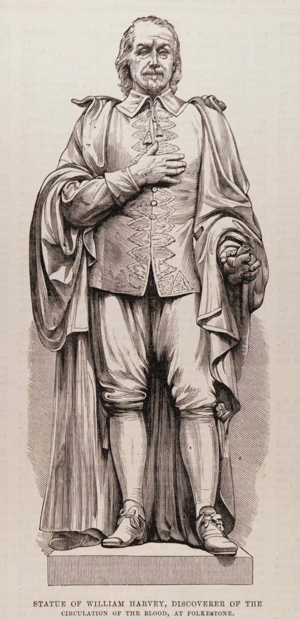 Statua Williama Harveya (1578-1657), odkrywcy krążenia krwi, w Folkestone, z The Illustrated London News, 13 sierpnia 1881 autorstwa English School