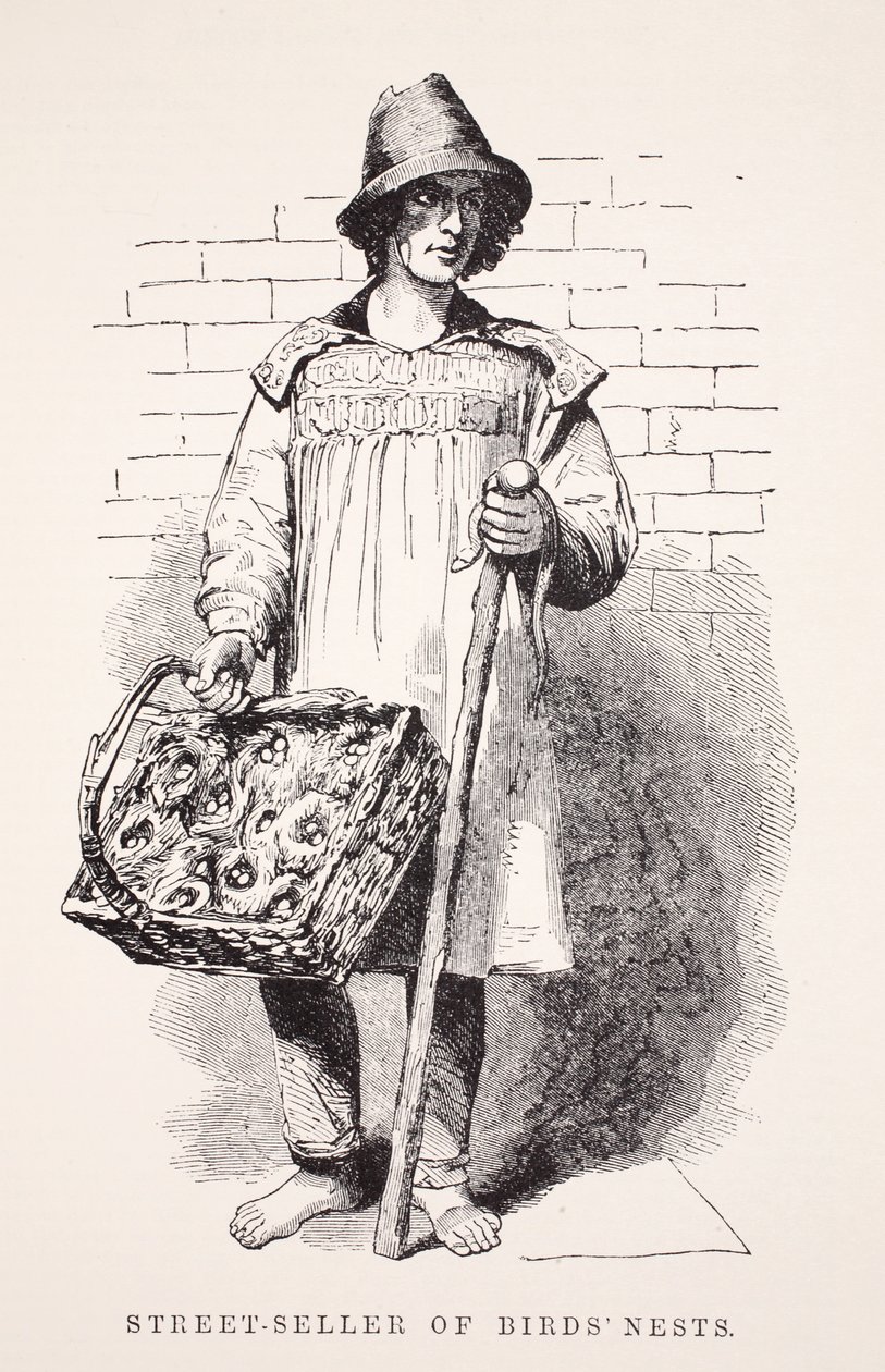 Sprzedawca uliczny ptasich gniazd, ilustracja z London Labor i London Poor autorstwa Henry