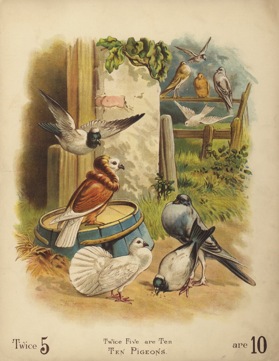Dziesięć gołębi (chromolitho) autorstwa English School