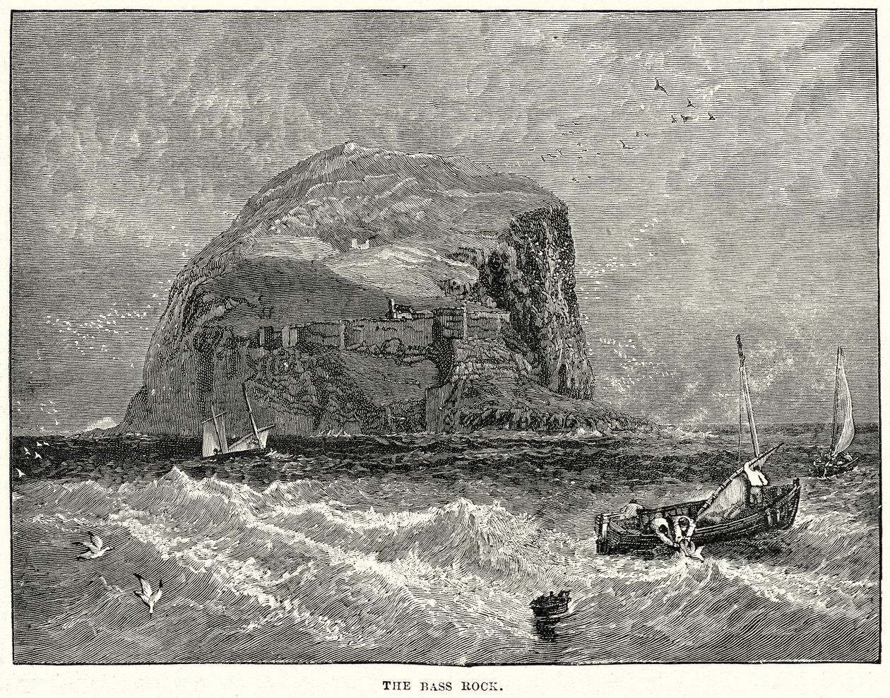 The Bass Rock (grawerunek) autorstwa English School