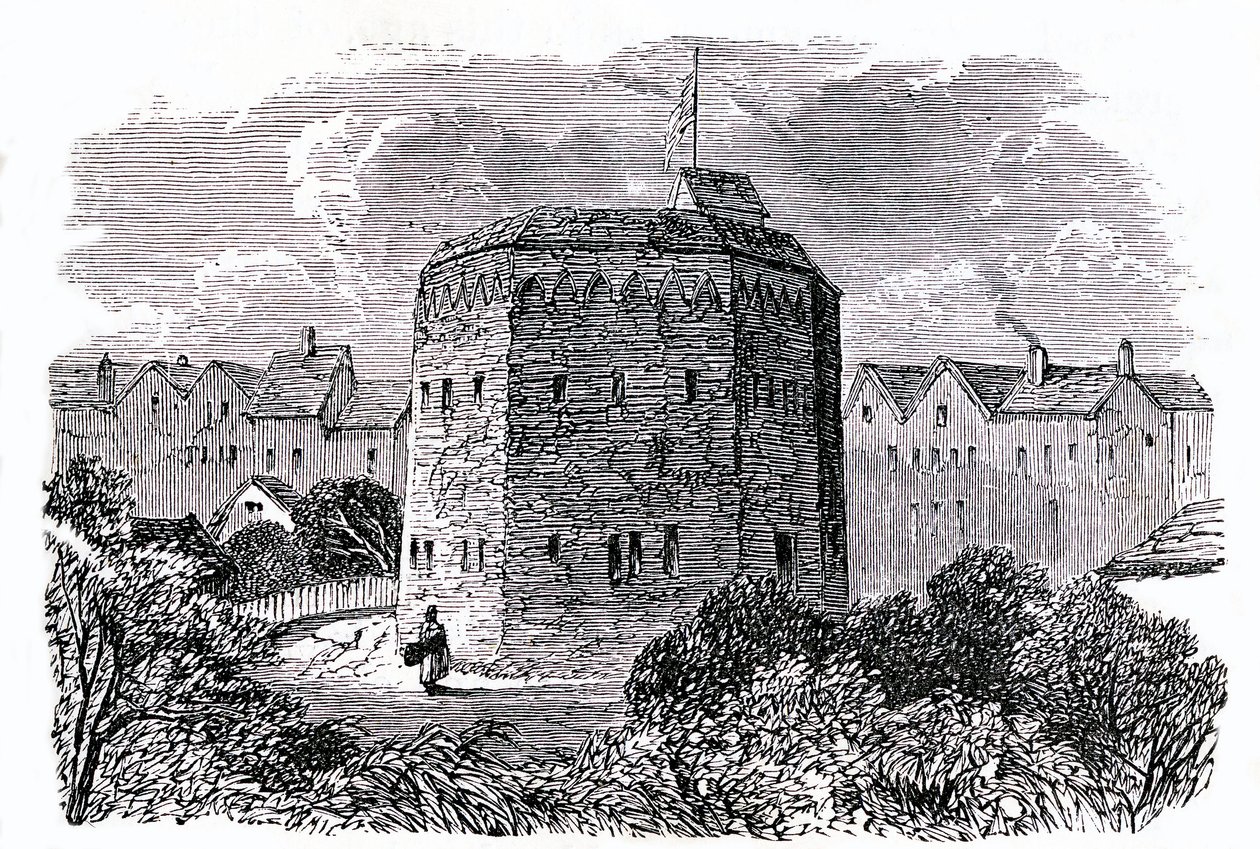 Ogród Niedźwiedzia, Southwark, Londyn (lito) autorstwa English School