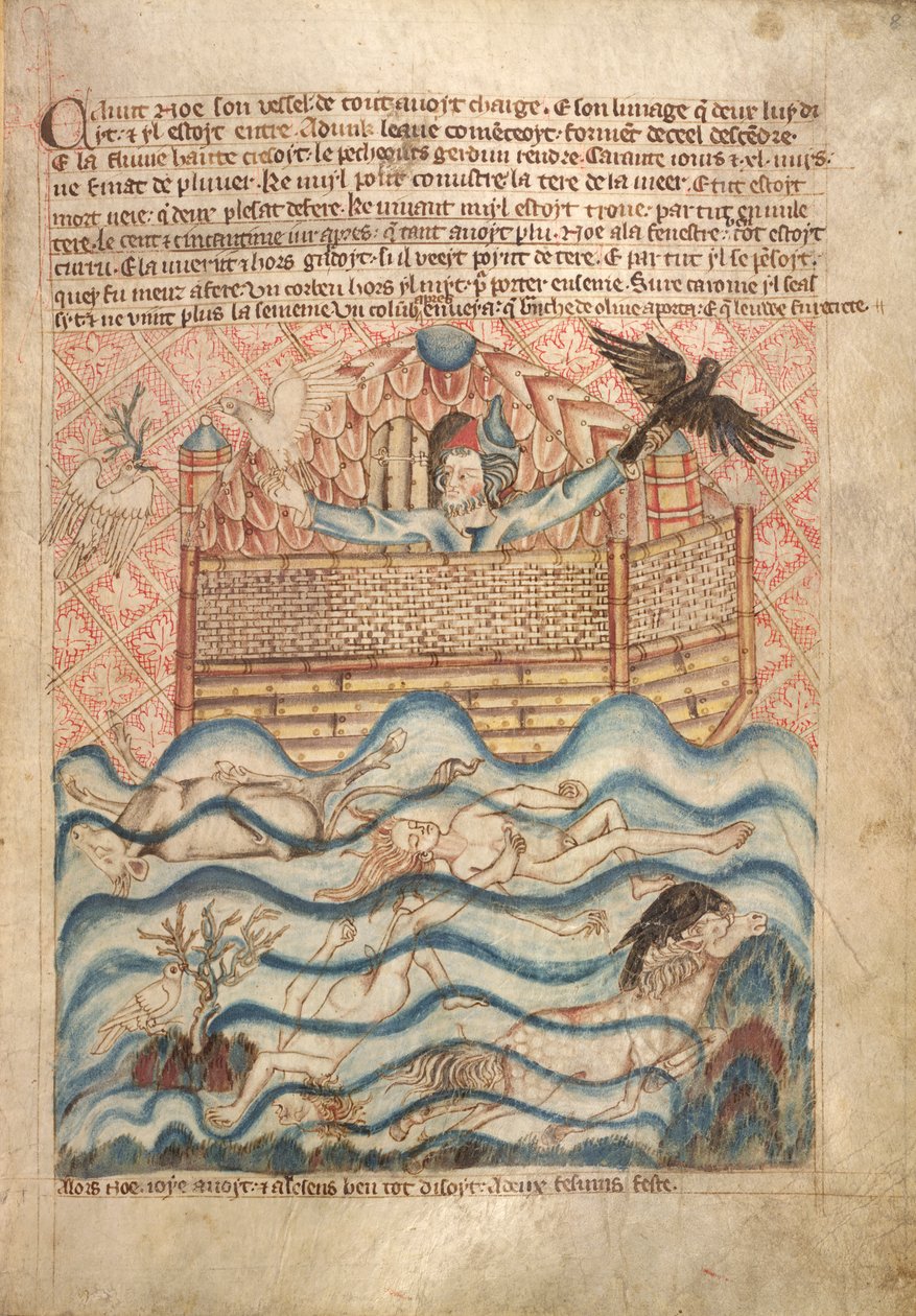 Gołąb i kruk, z książki „Holkham Bible Picture Book”, c.1320-30 (akwarela na papierze) autorstwa English School