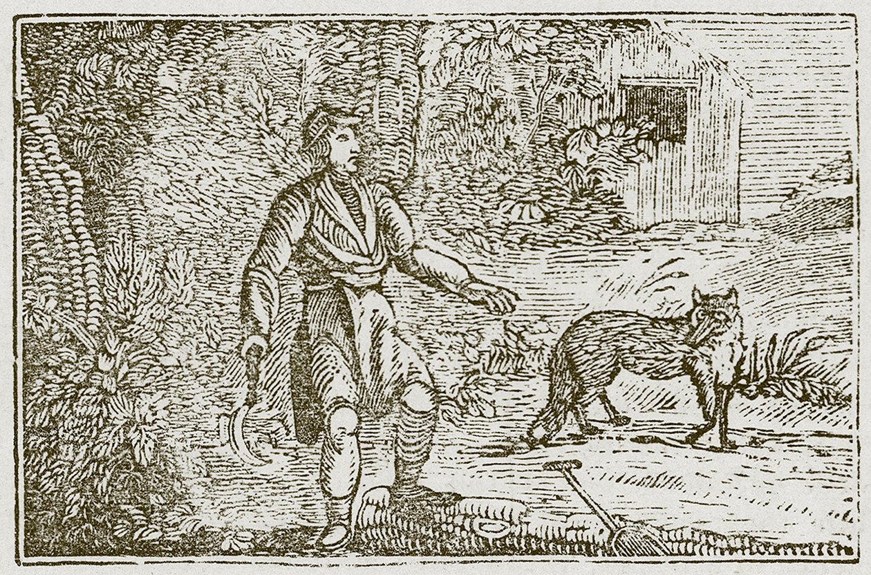 Lis i ziomek (rycina) autorstwa English School
