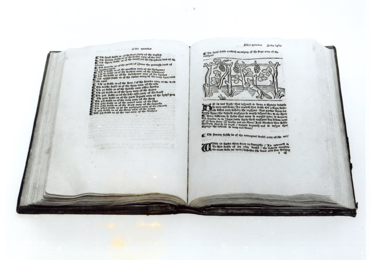 Lis i winogrona, z ilustrowanego przekładu Bajek Ezopa autorstwa Williama Caxtona (ok. 1422-91) 1434 autorstwa English School