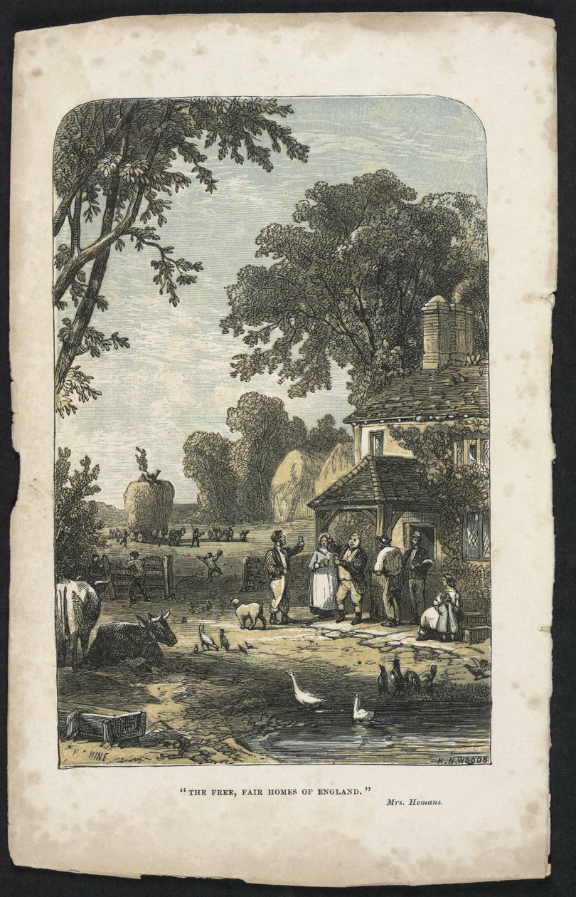 The Free, Fair Homes of England, ilustracja z „Księgi zarządzania gospodarstwem domowym Beetona”, pod redakcją pani Isabelli Beeton autorstwa English School