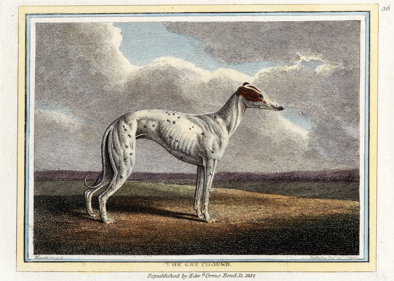 Chart, wyd. 1812. autorstwa English School