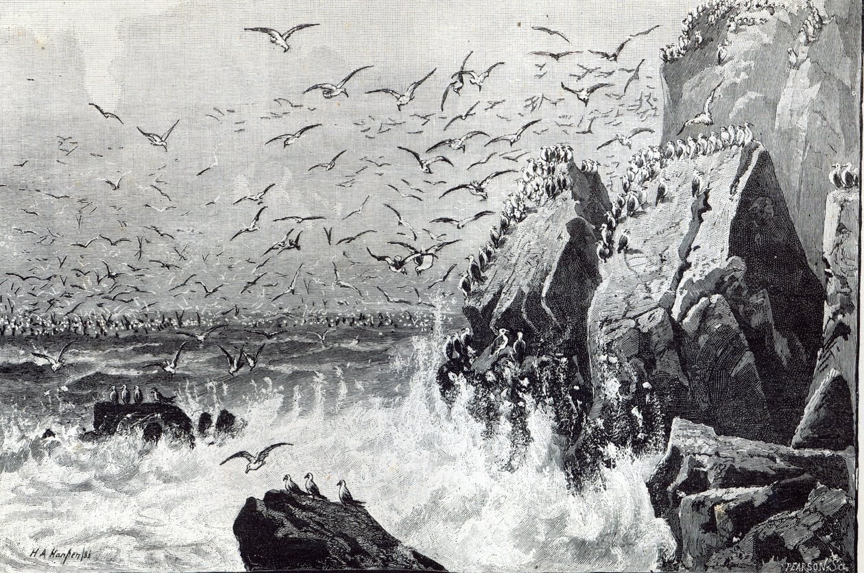 Nawiedzenie mew, z „Godziny wypoczynku”, 1888 r. autorstwa English School