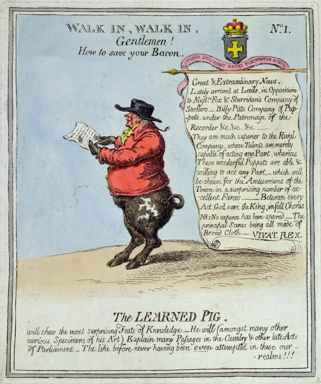 The Learned Pig (akwaforta ręcznie kolorowana) autorstwa English School