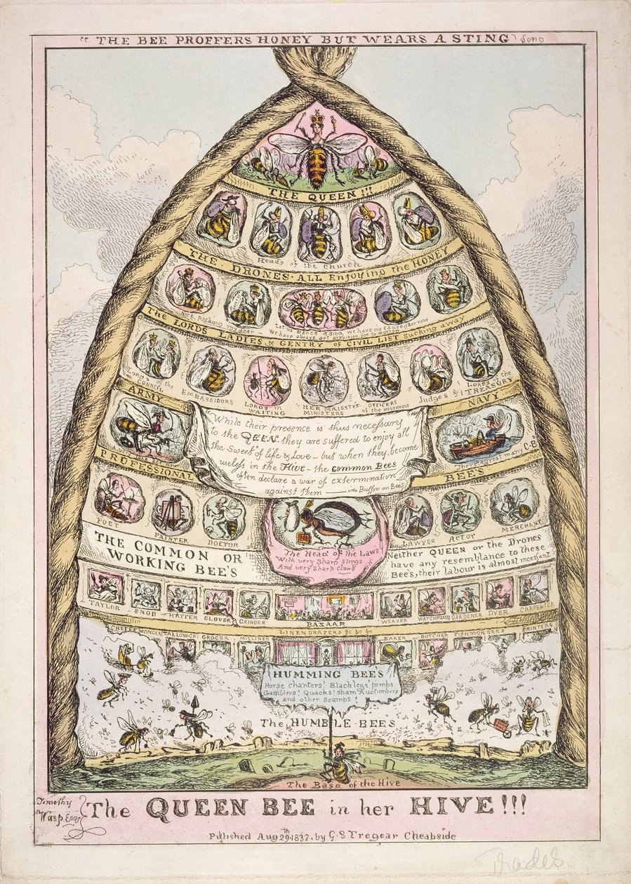 „The Queen Bee in her Hive”, alegoria brytyjskiej hierarchii społecznej, opublikowana przez GS Tregeara autorstwa English School