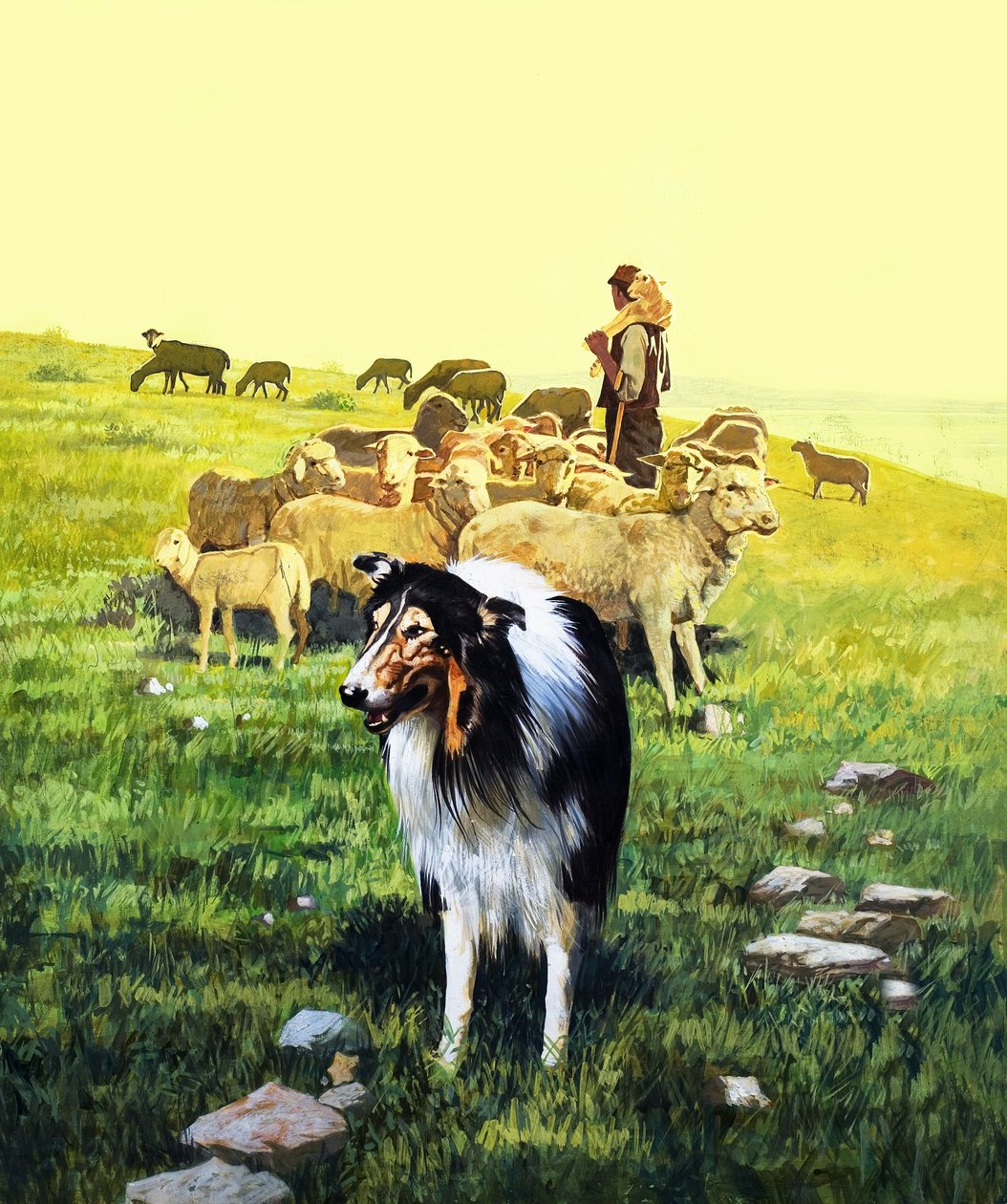 Owczarek, ilustracja z filmu "Dawno, dawno temu autorstwa English School