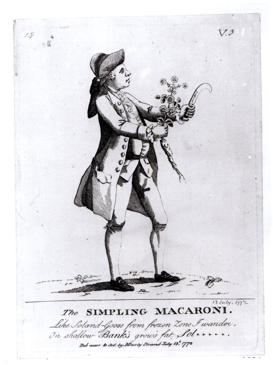 The Simpling Macaroni, opublikowane przez N. Darly, 13 lipca 1772 (rycina) (zdjęcie bw) autorstwa English School