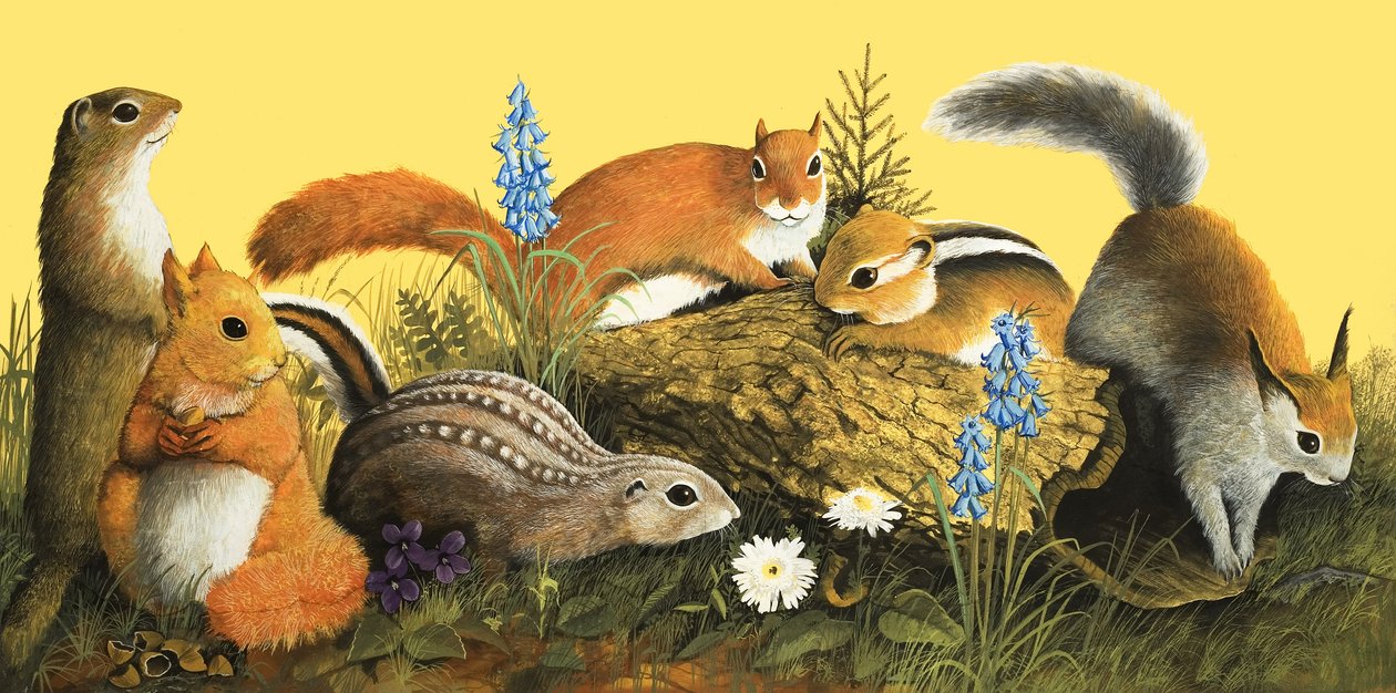 Rodzina wiewiórek, ilustracja z filmu "Dawno, dawno temu" (gwasz na papierze) autorstwa English School