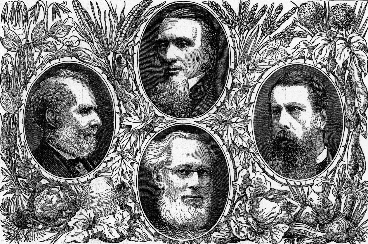 The Vegetarian System - Niektórzy czołowi członkowie Stowarzyszenia Wegetarian, opublikowano w The Graphic, 1874 autorstwa English School