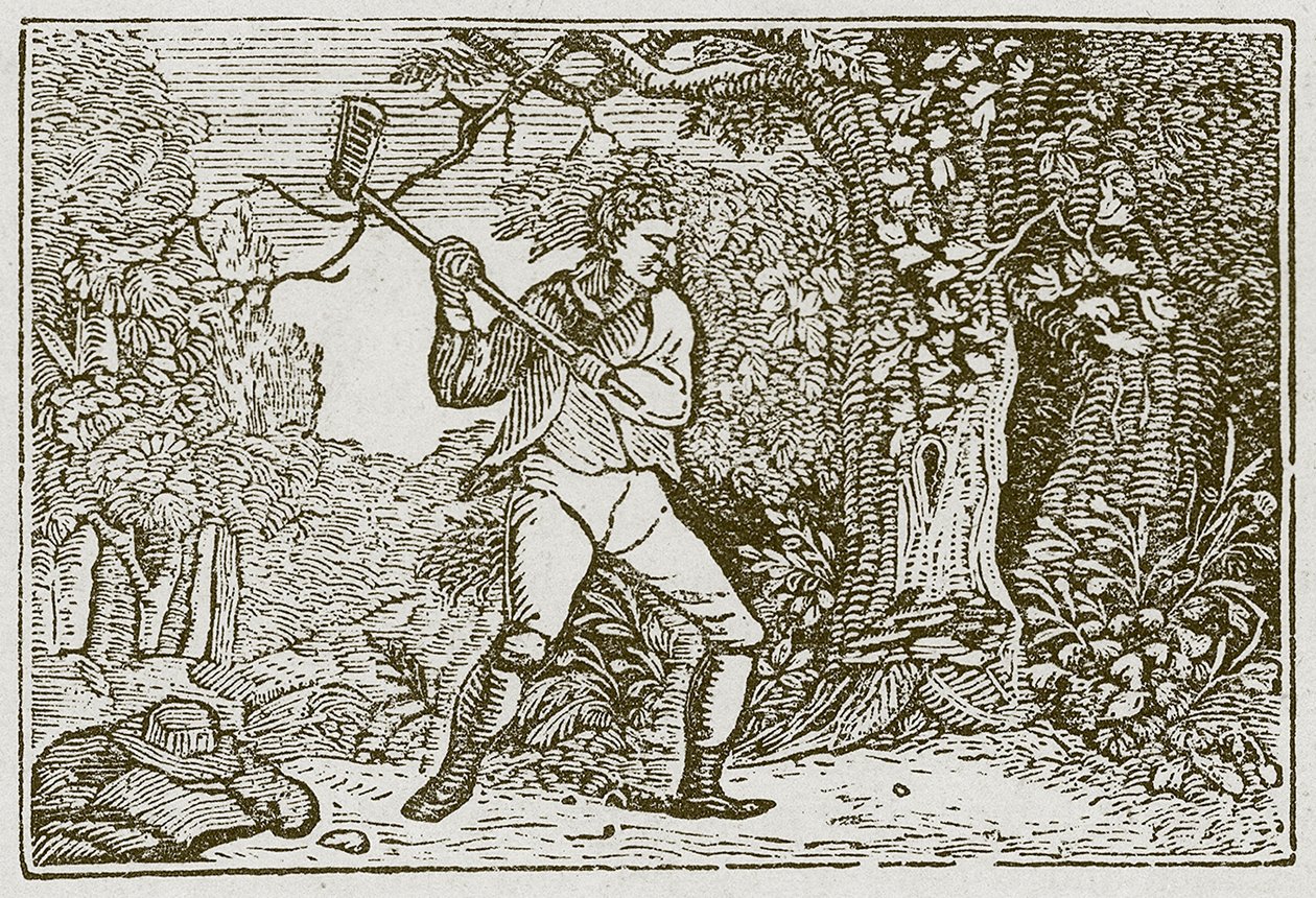 Drewno i klaun (rycina) autorstwa English School
