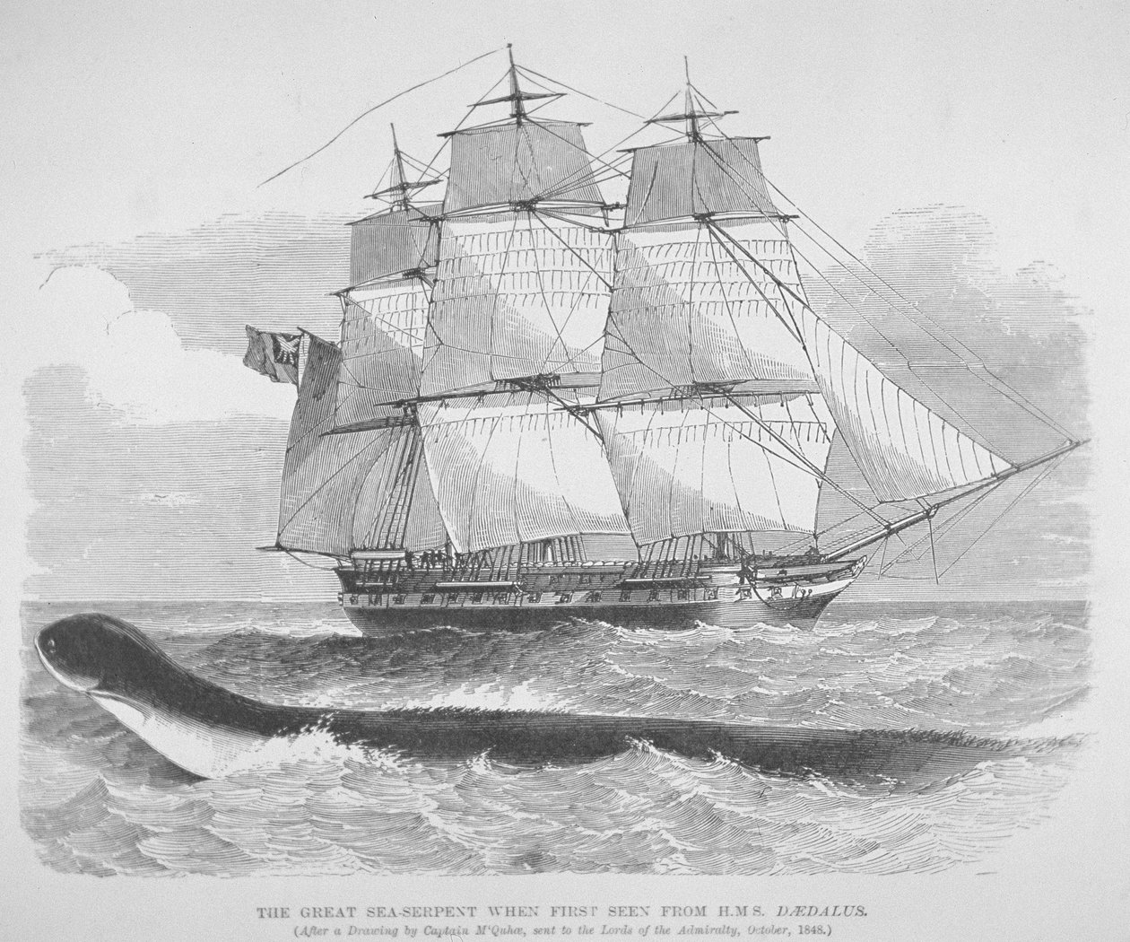 Wielki wąż morski widziany po raz pierwszy z HMS Daedalus w 1848 r., ok. 1848 r. (rycina) autorstwa English School