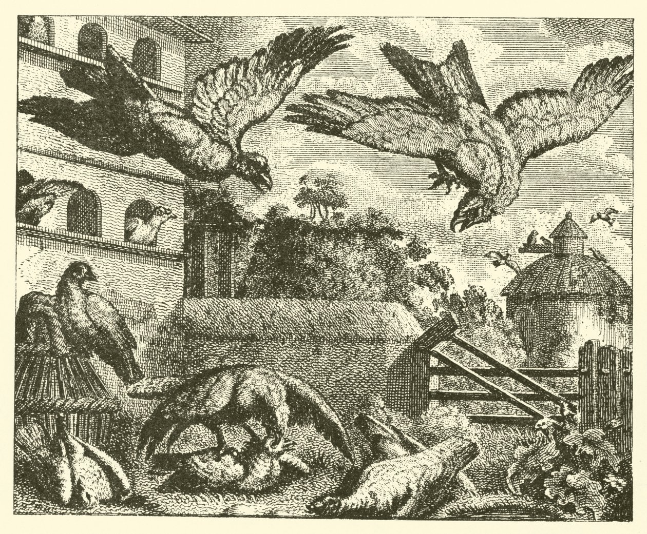 Latawiec i gołębie (rycina) autorstwa English School